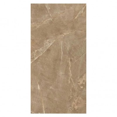 Porcelanato para Exteriores 60x120 Color Miel